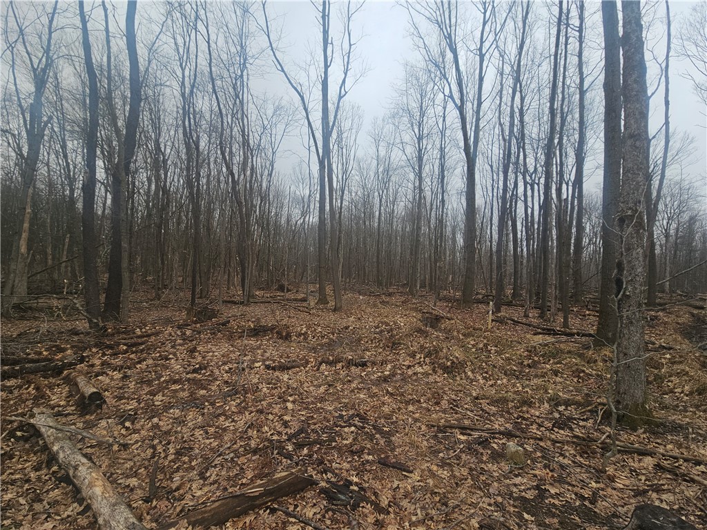 Engdahl Road Sinclairville, NY 14782 - Photo 34 of 41