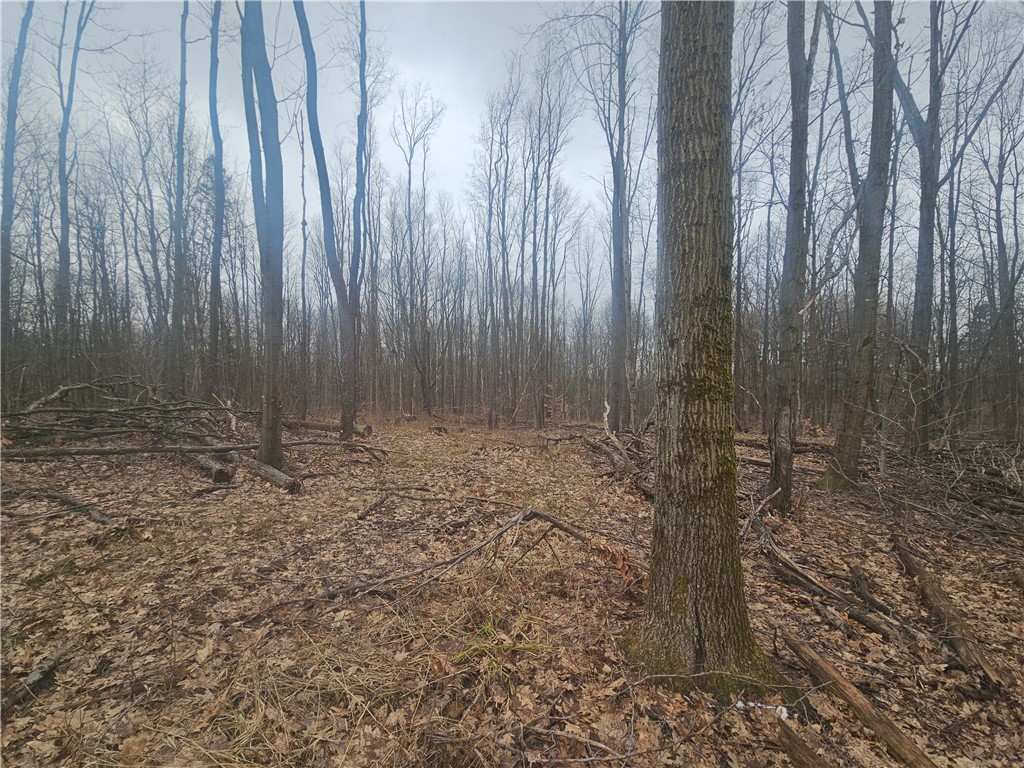 Engdahl Road Sinclairville, NY 14782 - Photo 35 of 41