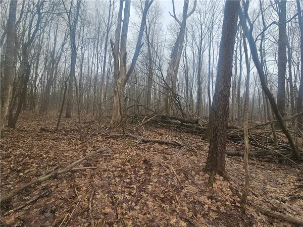 $740,000 | Engdahl Road, Sinclairville, NY 14782