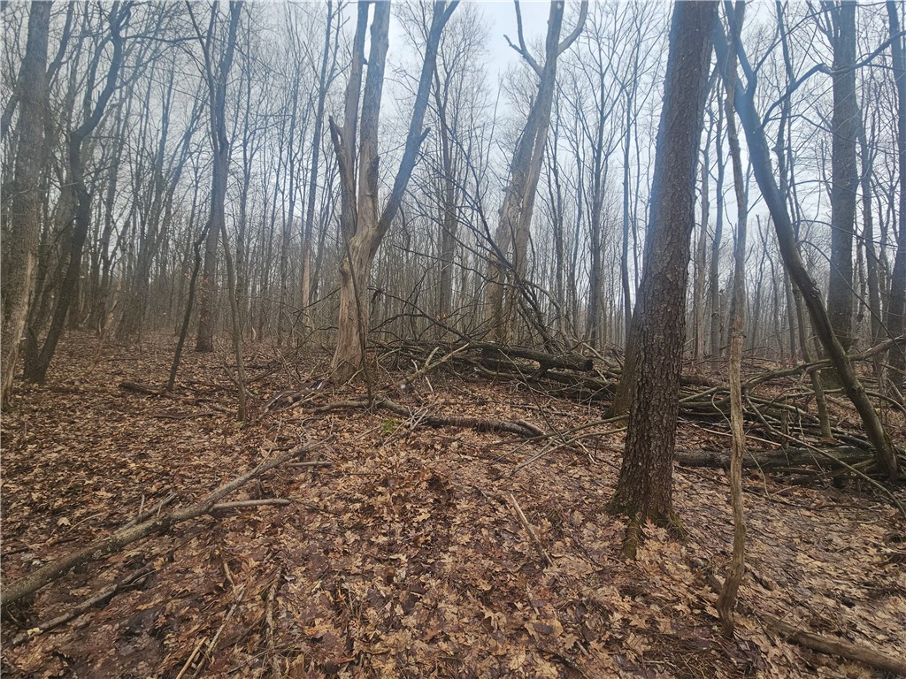 Engdahl Road Sinclairville, NY 14782 - Photo 36 of 41