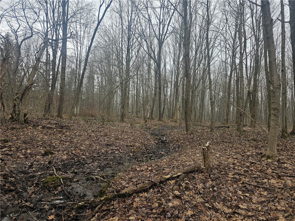 Engdahl Road Sinclairville, NY 14782 - Photo 37 of 41