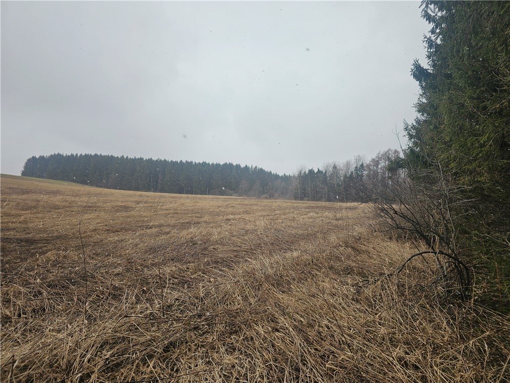 Engdahl Road Sinclairville, NY 14782 - Photo 38 of 41