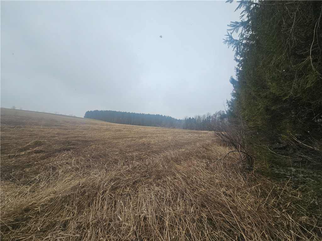 Engdahl Road Sinclairville, NY 14782 - Photo 39 of 41