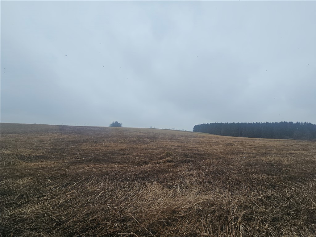 Engdahl Road Sinclairville, NY 14782 - Photo 40 of 41