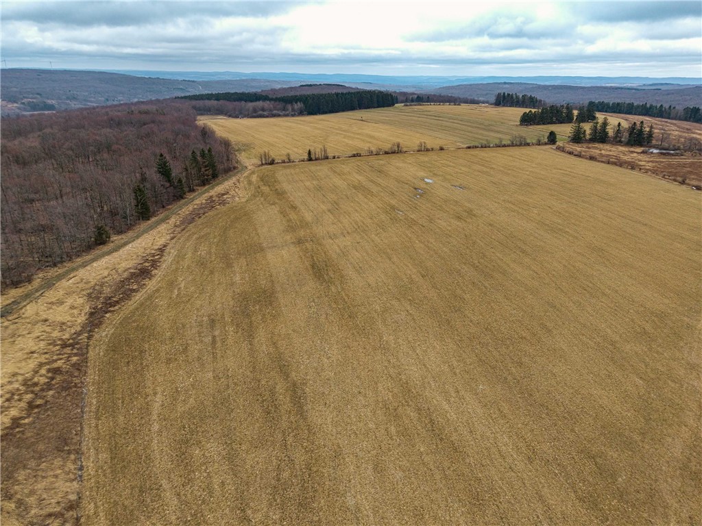 Engdahl Road Sinclairville, NY 14782 - Photo 4 of 41