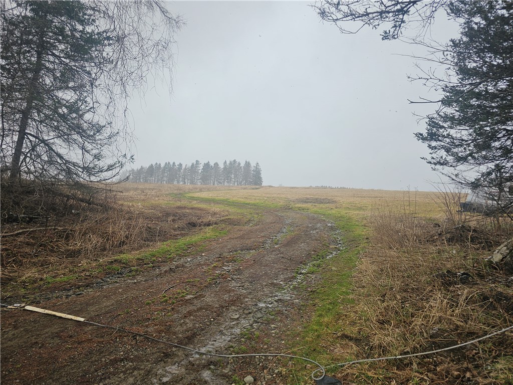 Engdahl Road Sinclairville, NY 14782 - Photo 41 of 41