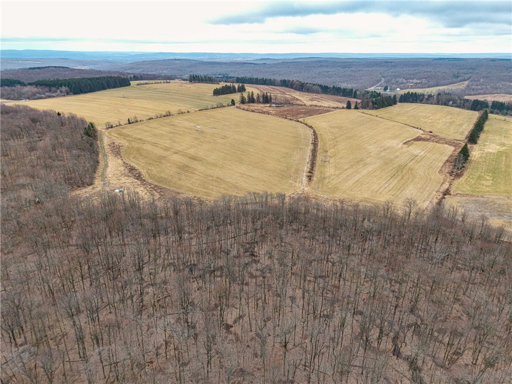 Engdahl Road Sinclairville, NY 14782 - Photo 5 of 41