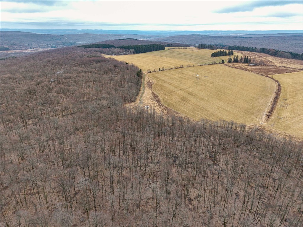 Engdahl Road Sinclairville, NY 14782 - Photo 6 of 41
