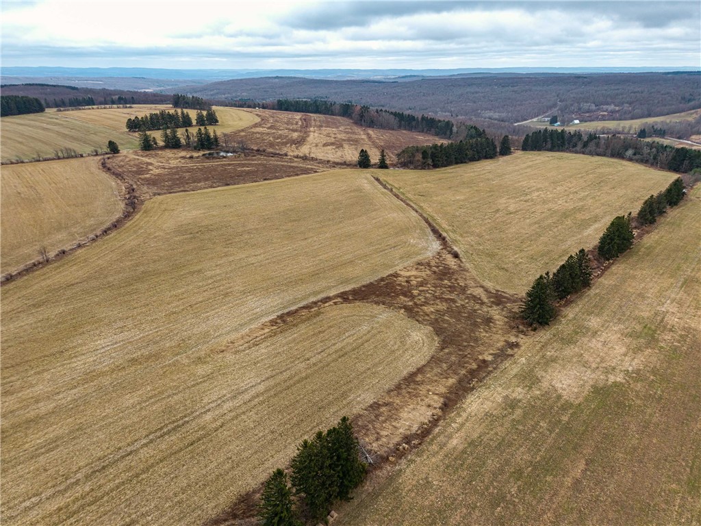 Engdahl Road Sinclairville, NY 14782 - Photo 7 of 41