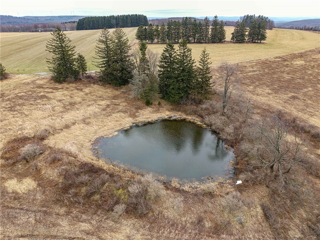 Engdahl Road Sinclairville, NY 14782 - Photo 9 of 41