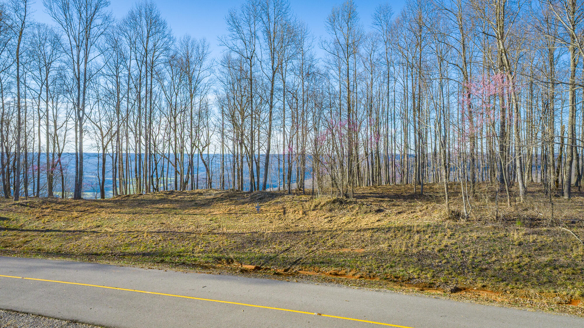 0 Cherokee Path, Unit JF269 Jasper, TN 37347 - Photo 66 of 94 0 Cherokee Path - JF269 HD-65