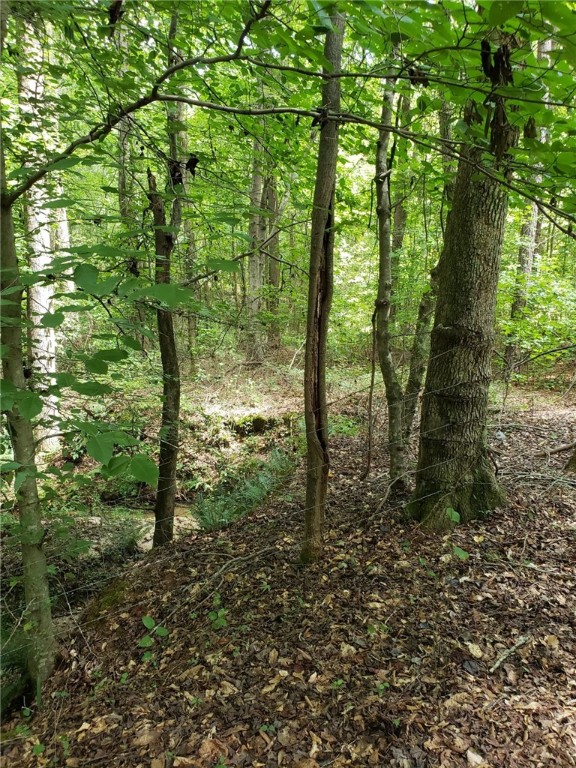 856 Tornado Road Honea Path, SC 29654 - Photo 36 of 39