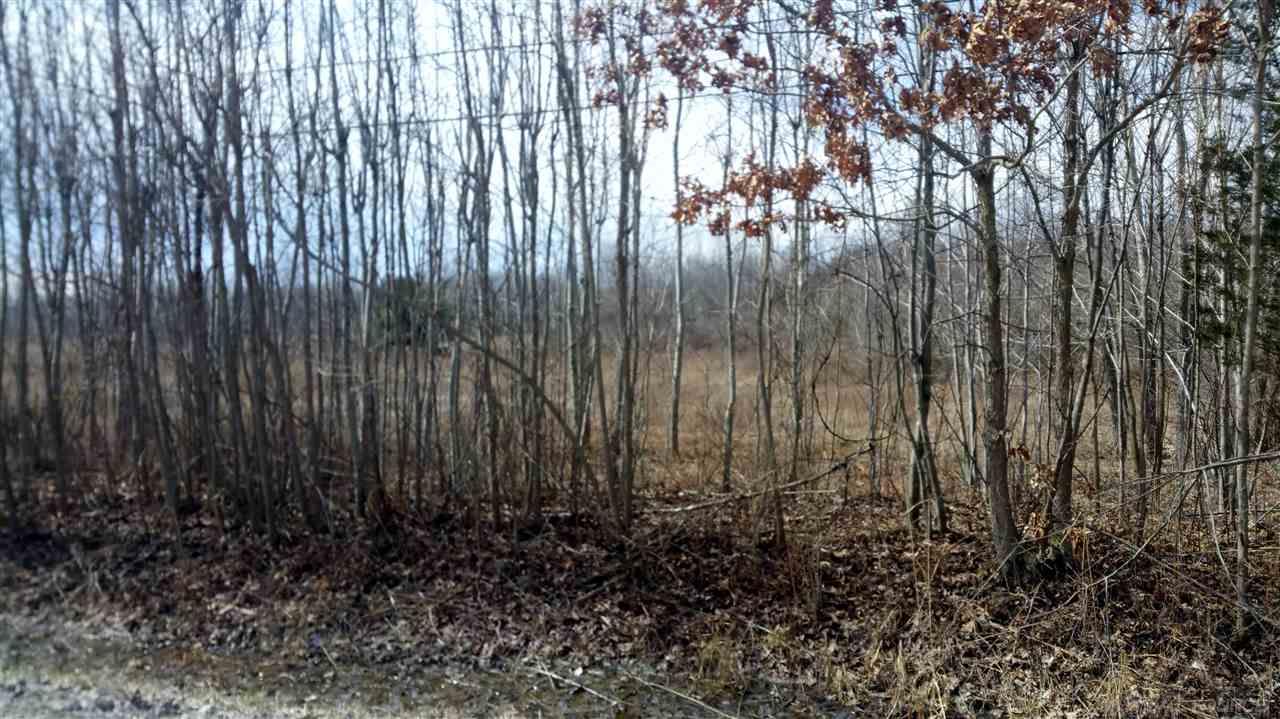 0 Mayer Road Casco, MI 48064 - Photo 2 of 5