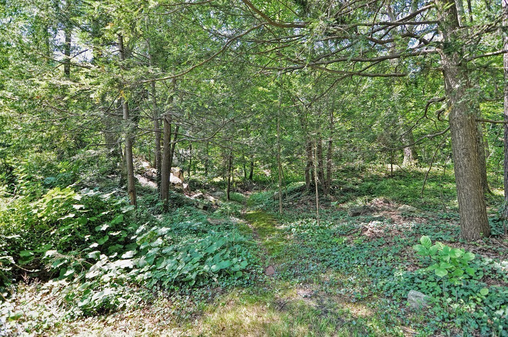 22 Burlington Road Bedford, MA 01730 - Photo 23 of 30 Gallery Image 23