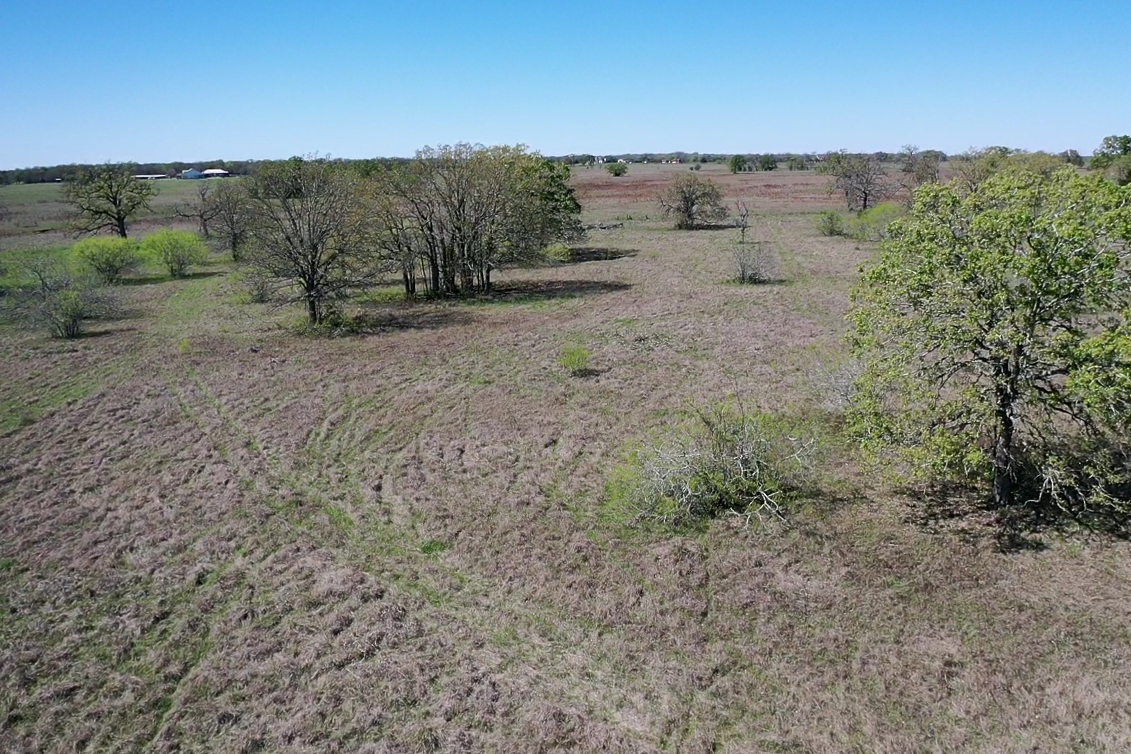 Tbd Turner Lane Midway, TX 75852 - Photo 24 of 25 a view of a dry yard with trees in the background