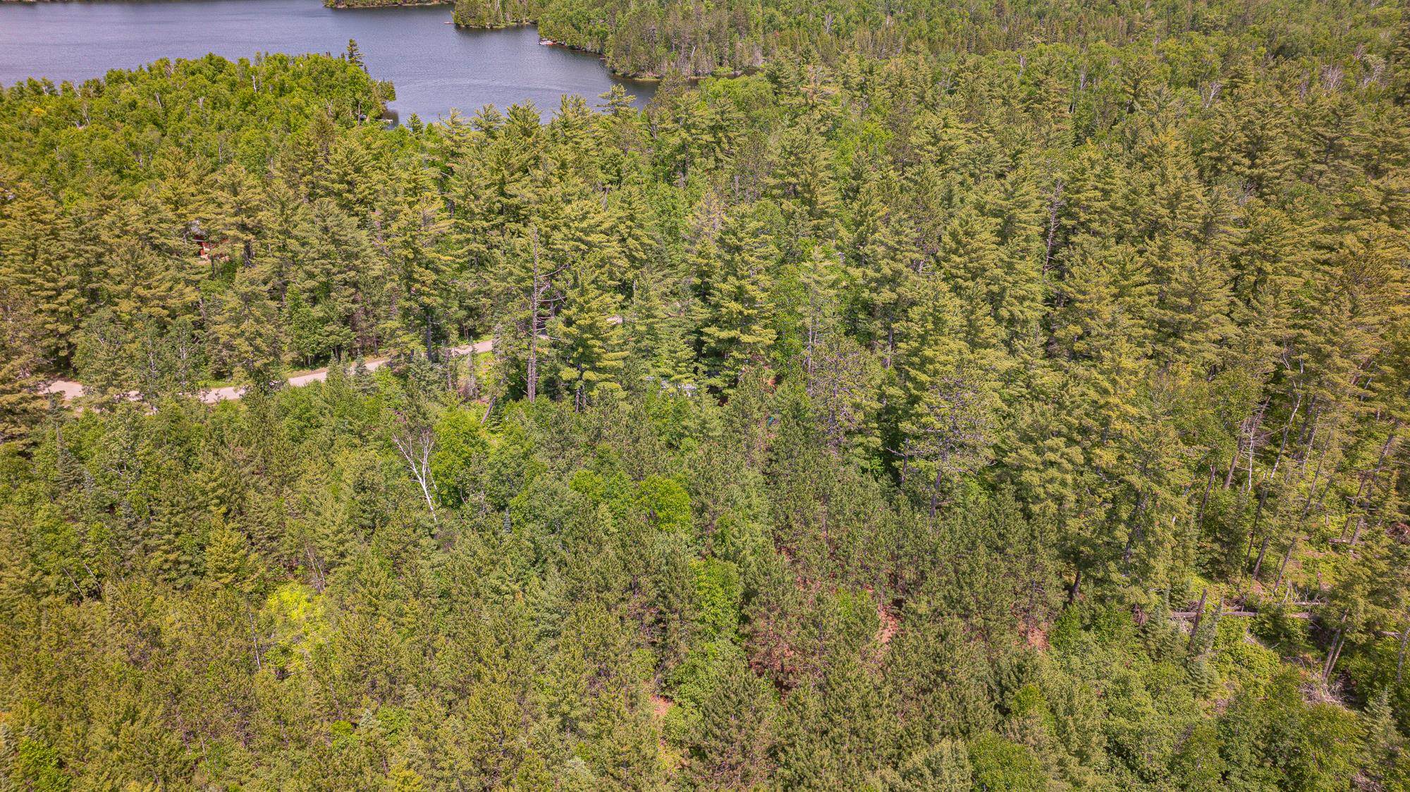 3596 East Lake 4 Road Ely, MN 55731 - Photo 1 of 37 Gallery Image 1
