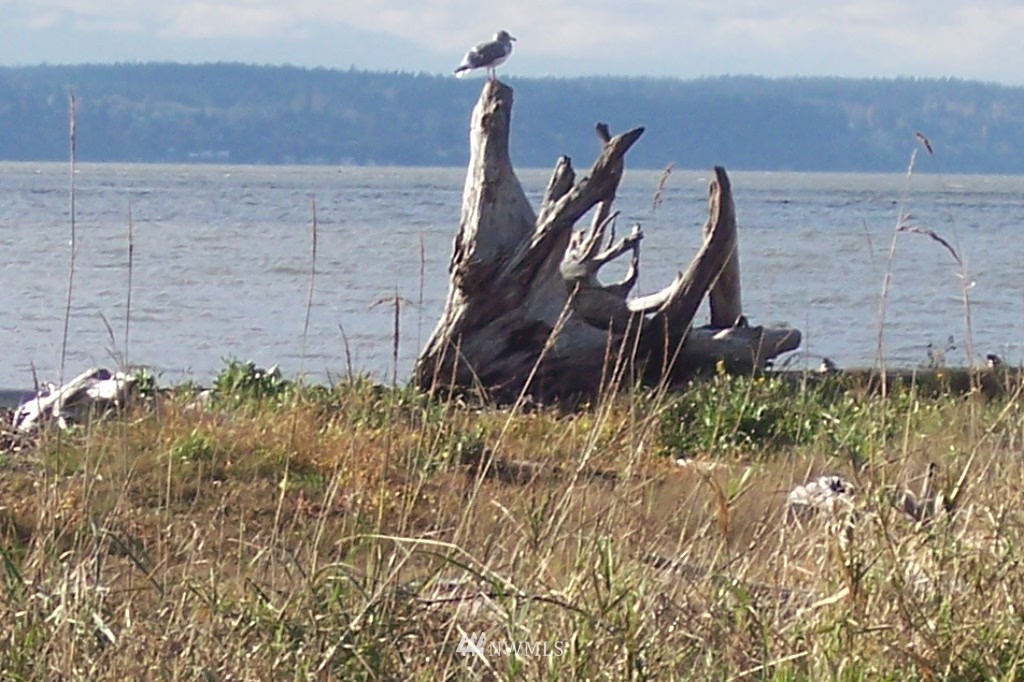 6820 Totem Beach Loop Road Marysville, WA 98271 - Photo 19 of 20 Gallery Image 19