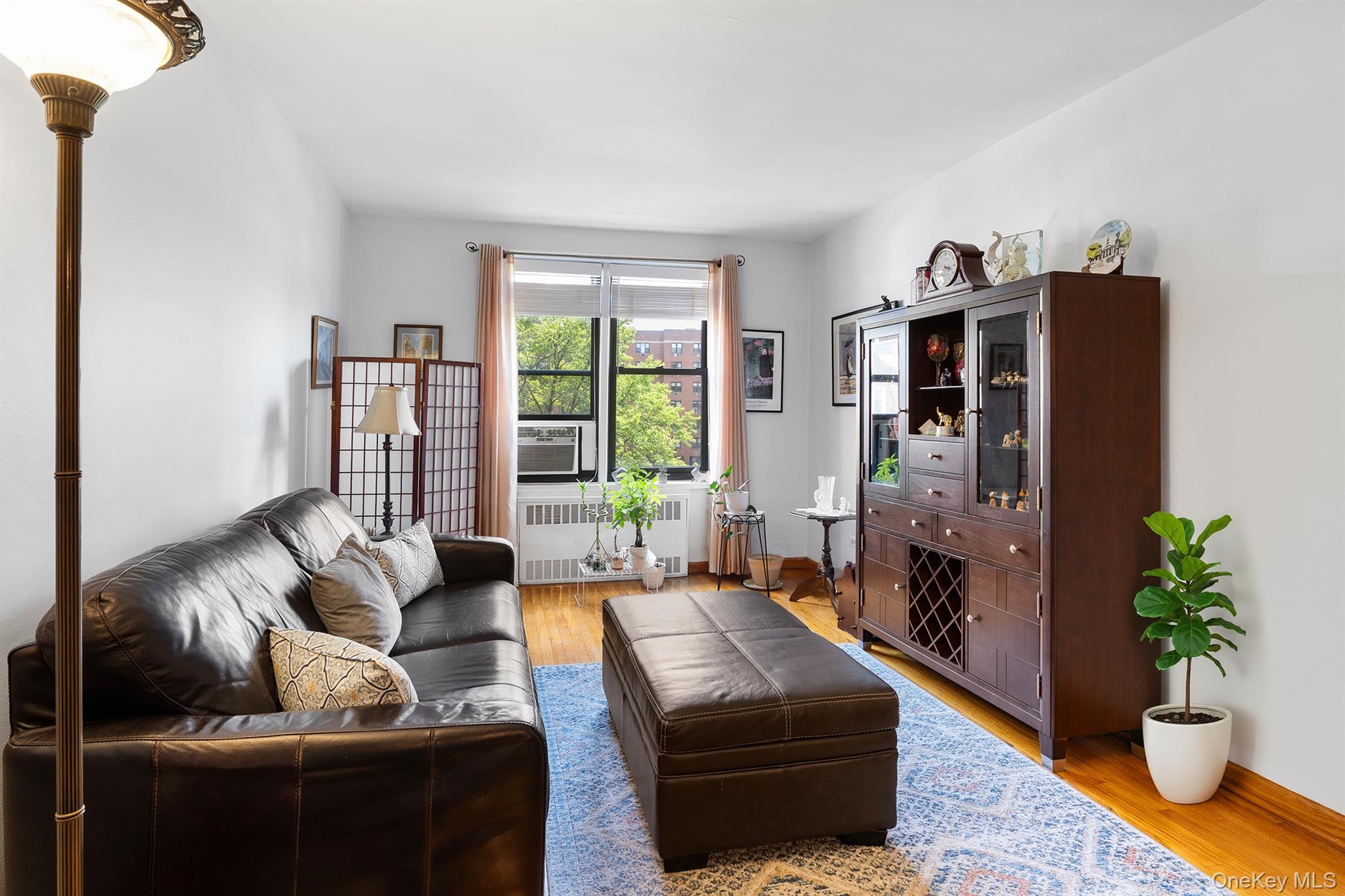 Living room featuring radiator heating unit and light wood-type flooring