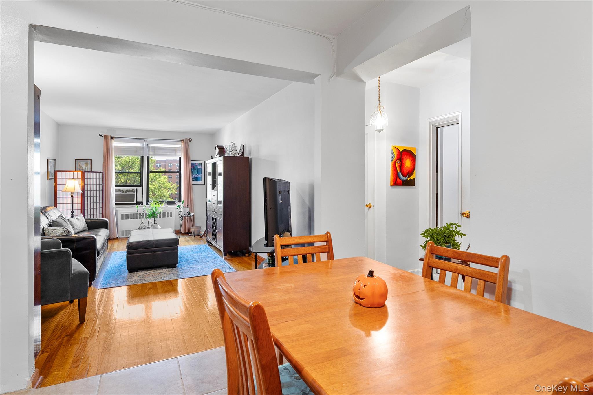 9040 Fort Hamilton Parkway, Unit 3 Brooklyn, NY 11209 - Photo 6 of 11 Dining room with radiator heating unit and light wood-type flooring