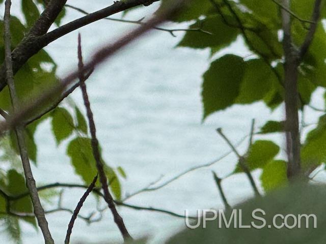 Five 5 Mile Pt Road, Unit LOT 15 OF KIDDER & ROCK S Allouez, MI 49805 - Photo 26 of 46