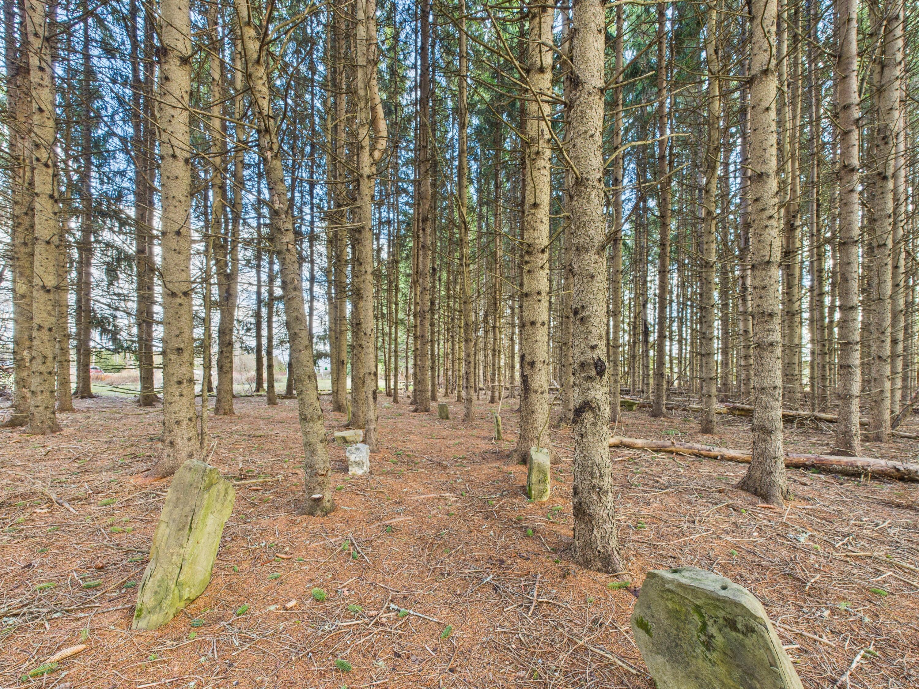 259 Old Washburn Road Caribou, ME 04736 - Photo 34 of 41 CAM05521G0-PR0045-STILL034