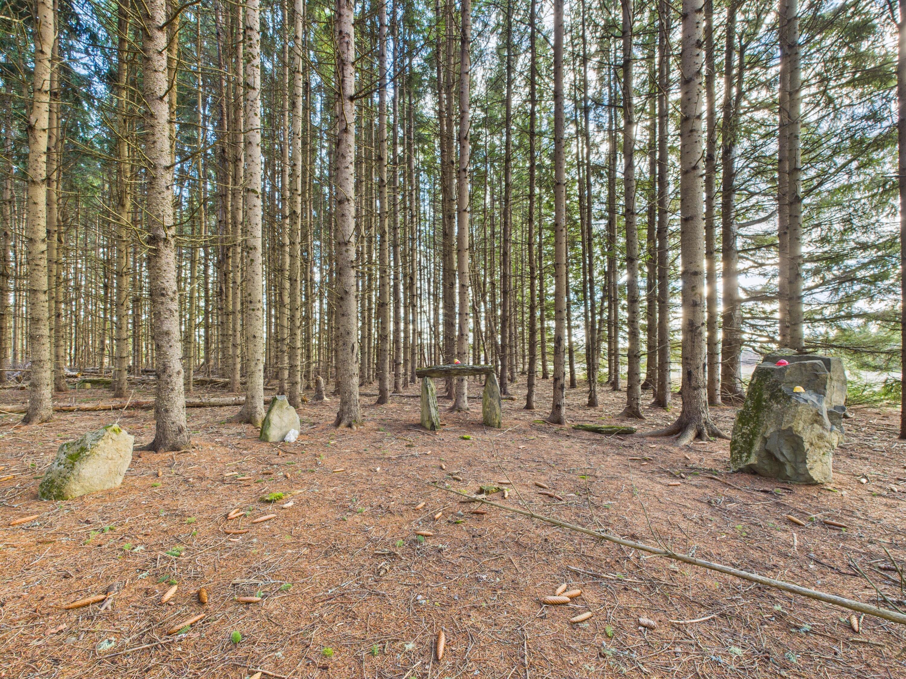 259 Old Washburn Road Caribou, ME 04736 - Photo 5 of 38 CAM05521G0-PR0045-STILL033