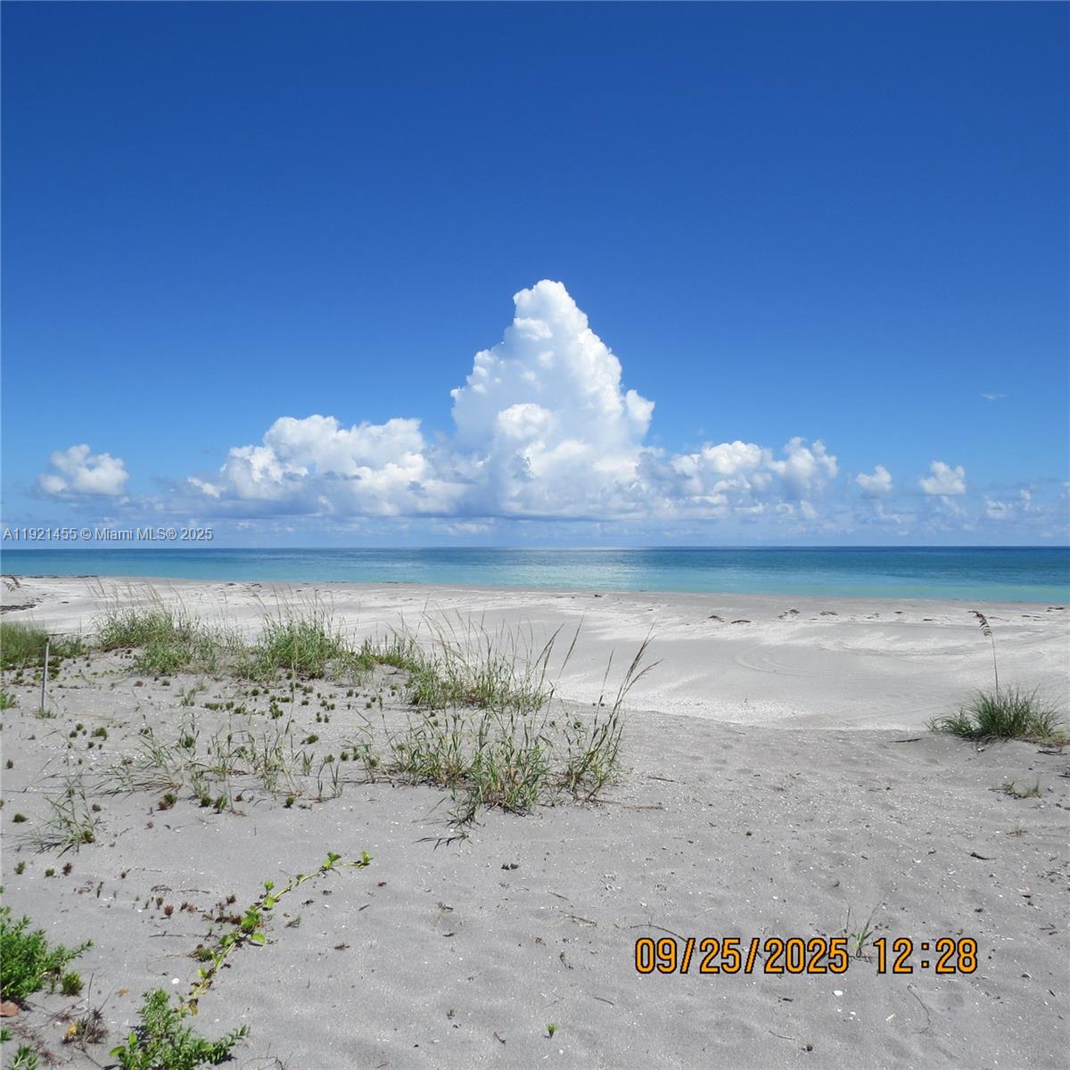 404 South Beach Road, Unit 404 Jupiter Island, FL 33455 - Photo 17 of 23 a view of a lake with beach