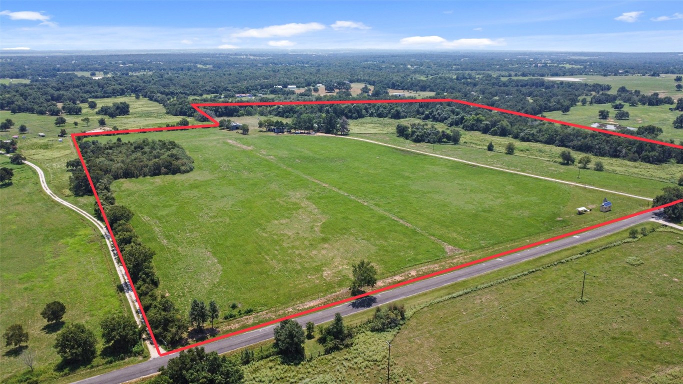 a view of a field with flower in it