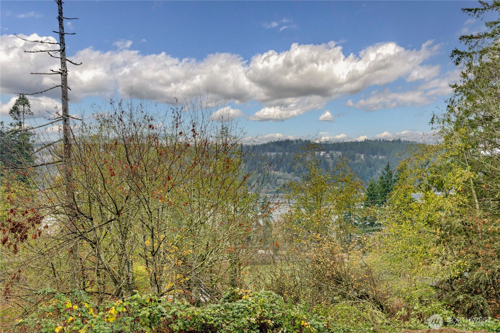 2703 Anderson Hill Road Southwest Port Orchard, WA 98367 - Photo 22 of 27 a view of lake