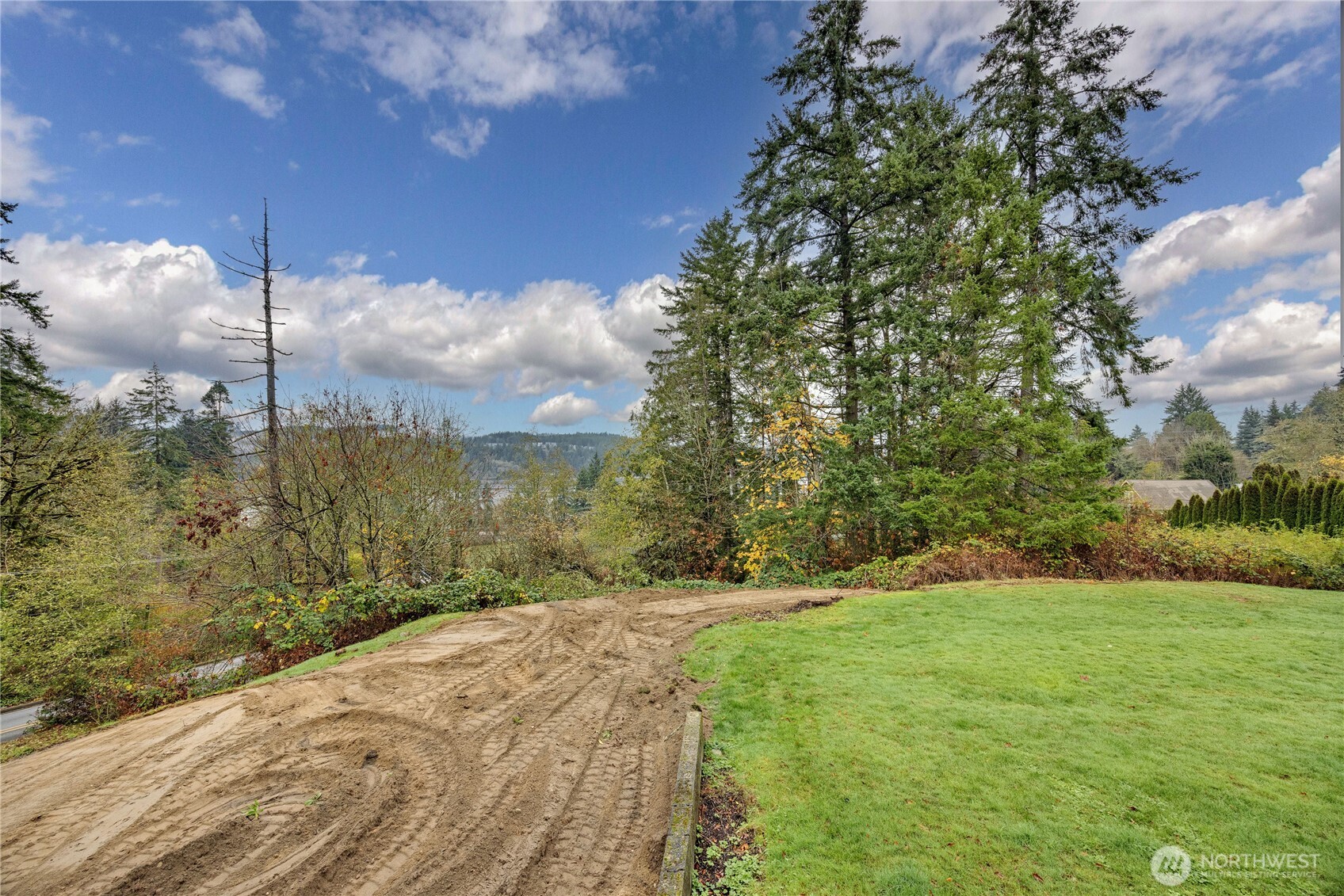 2703 Anderson Hill Road Southwest Port Orchard, WA 98367 - Photo 27 of 27 a view of a yard with an trees