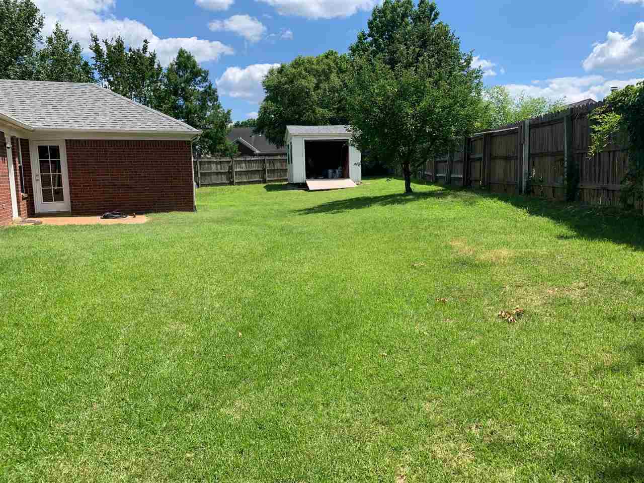 255 Windy Ridge Cove Collierville, TN 38017 - Photo 15 of 21