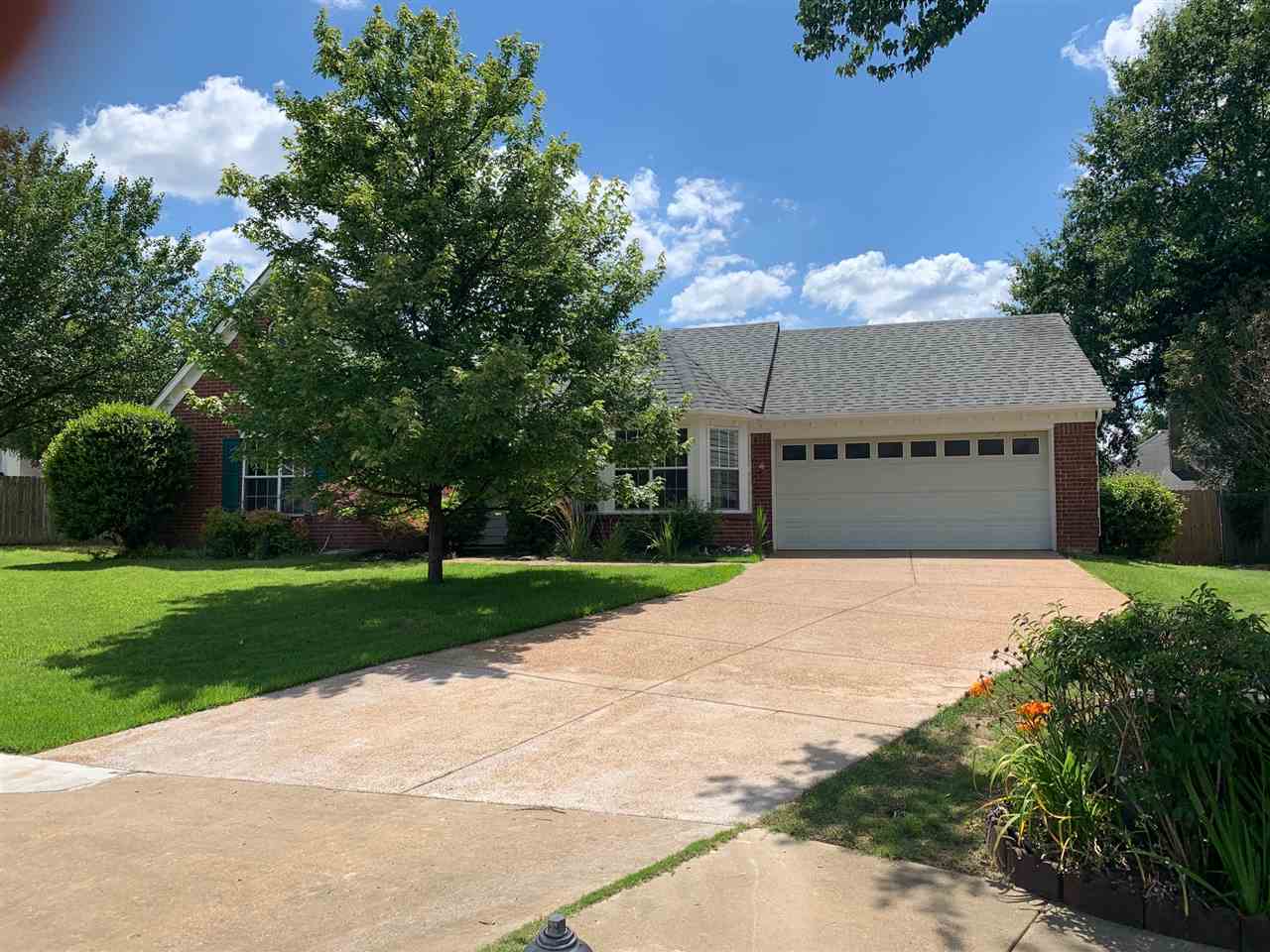 255 Windy Ridge Cove Collierville, TN 38017 - Photo 18 of 21