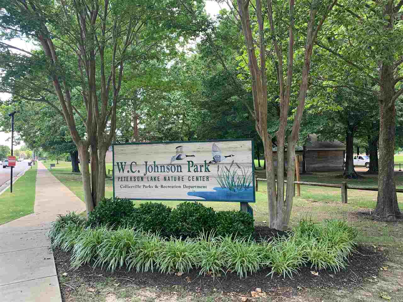 255 Windy Ridge Cove Collierville, TN 38017 - Photo 20 of 21