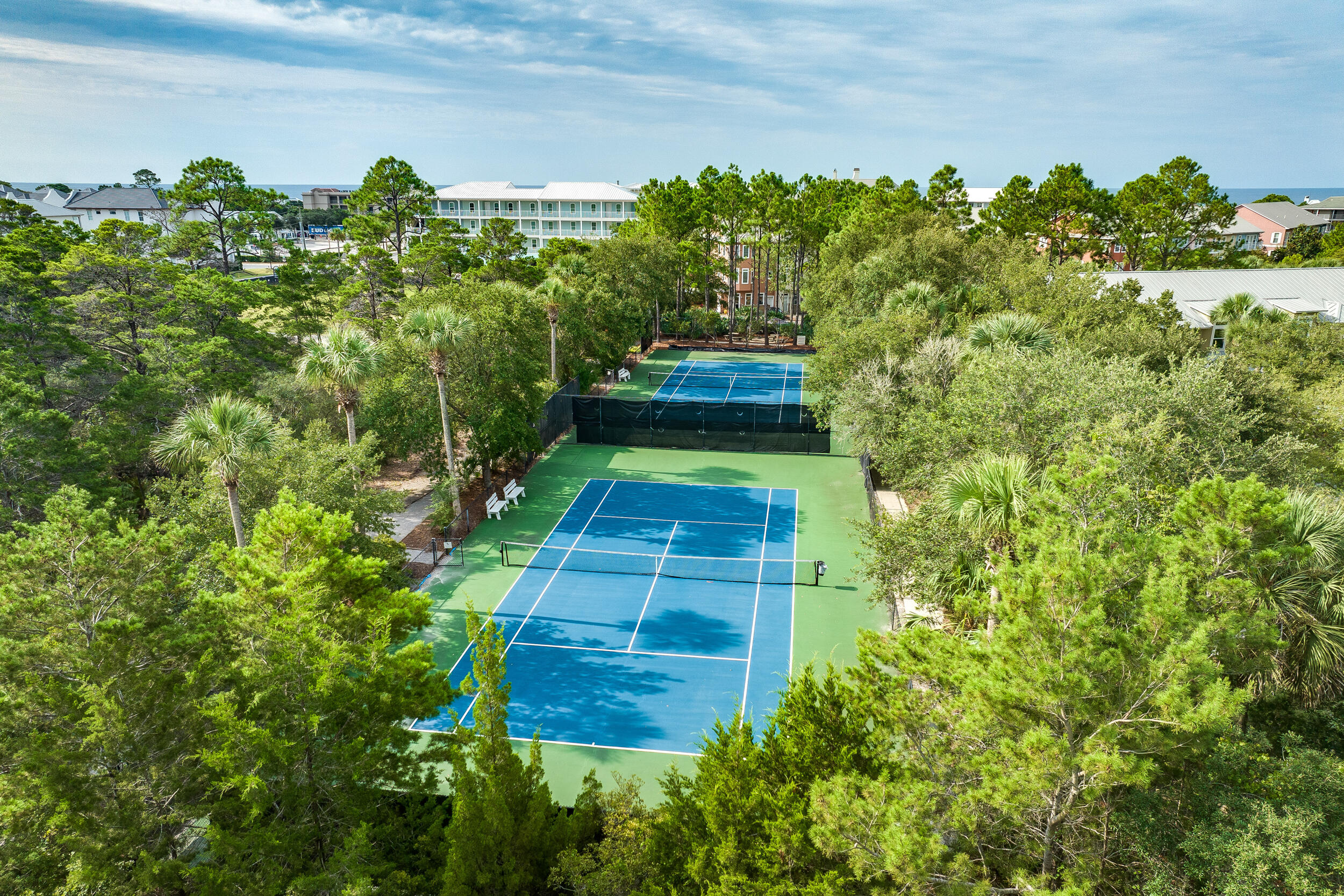 1740 South Co Highway 393, Unit 103 Santa Rosa Beach, FL 32459 - Photo 41 of 73 a view of a yard with plants
