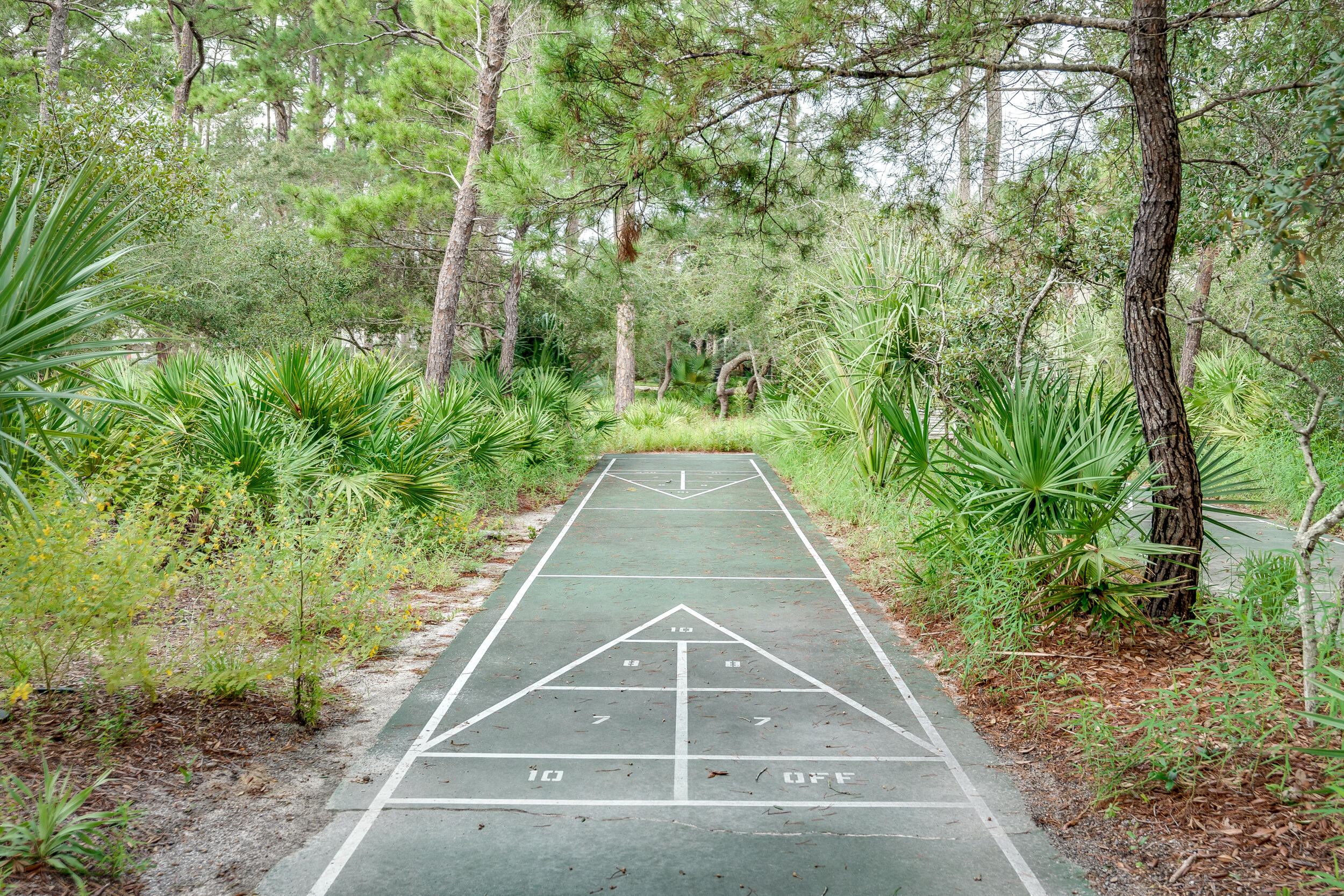 1740 South Co Highway 393, Unit 103 Santa Rosa Beach, FL 32459 - Photo 57 of 73 a view of a pathway both side of a house with a yard