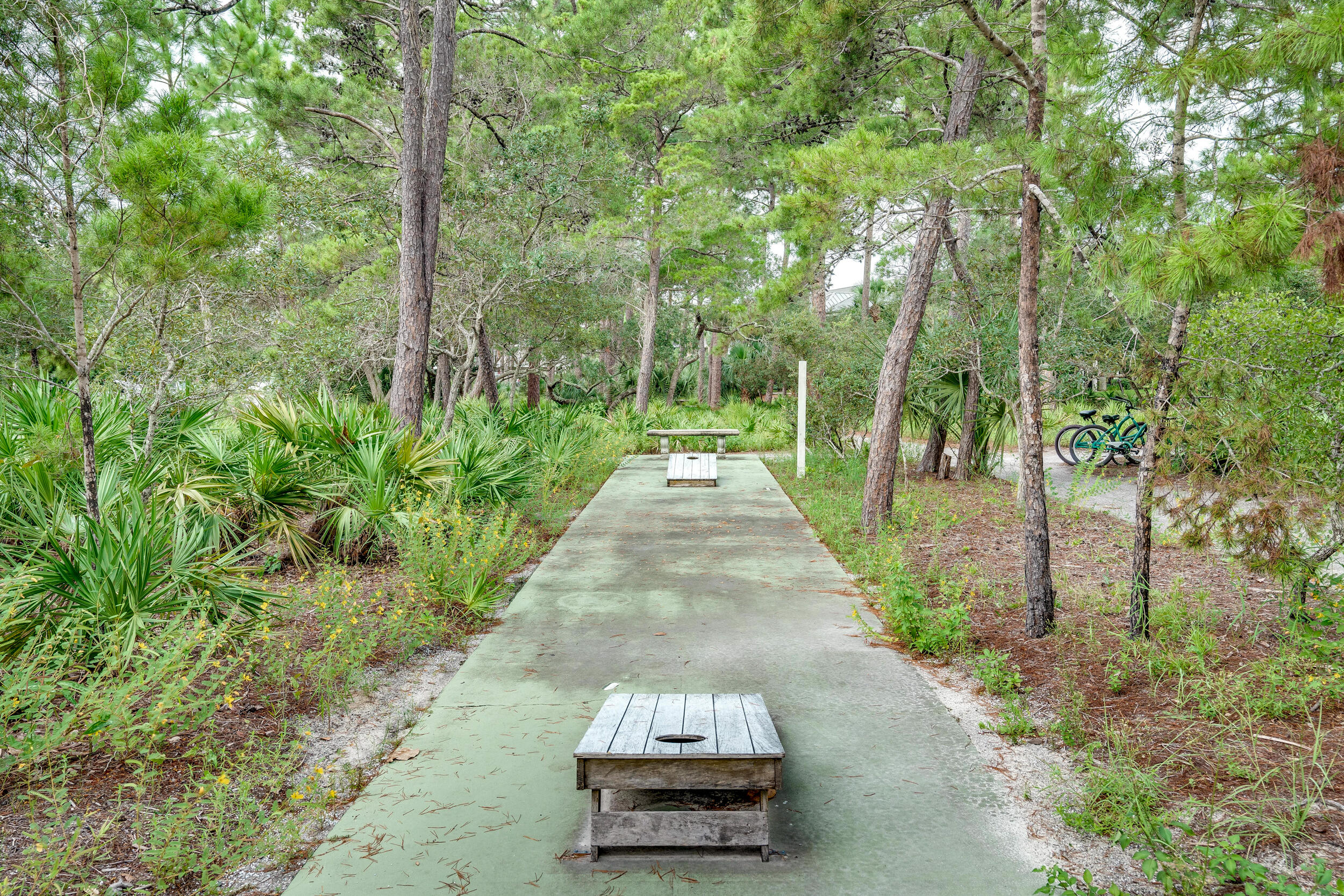 1740 South Co Highway 393, Unit 103 Santa Rosa Beach, FL 32459 - Photo 58 of 73 a view of a park with large trees