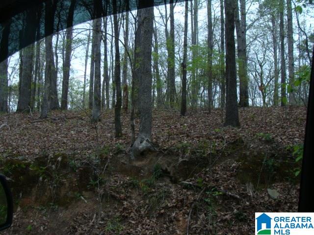 406 Caffe Ridge, Unit PARCEL Woodstock, AL 35188 - Photo 19 of 30