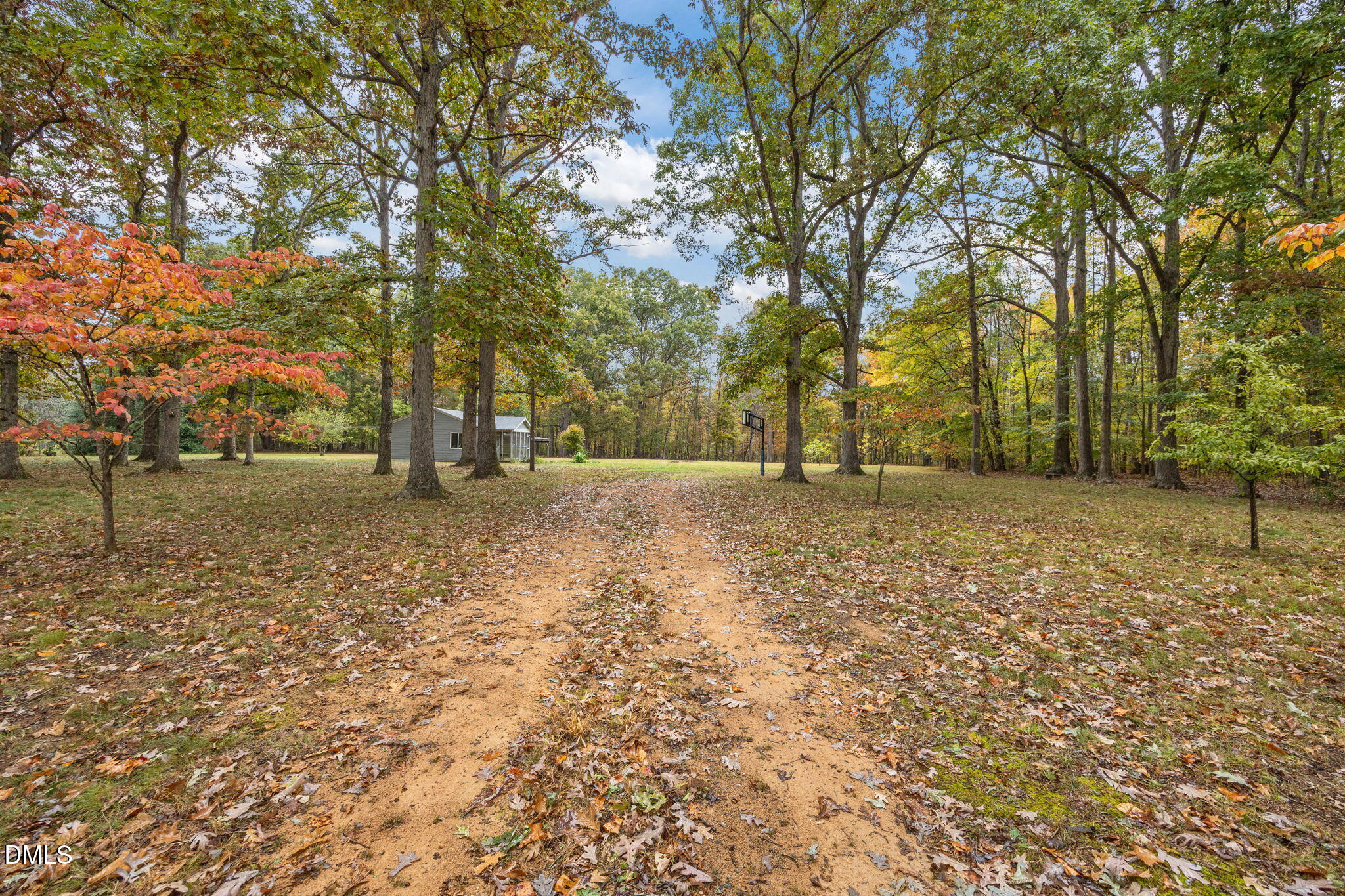 6123 Highway 70 Mebane, NC 27302 - Photo 5 of 13 a backyard of a house with lots of green space