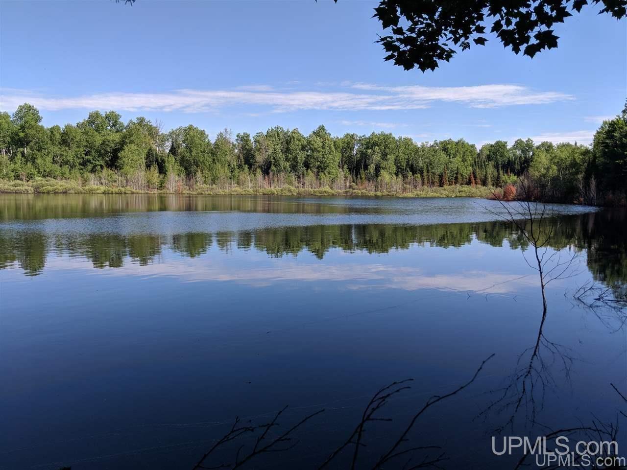 1356 Bates-Amasa Road Iron River, MI 49935 - Photo 2 of 11