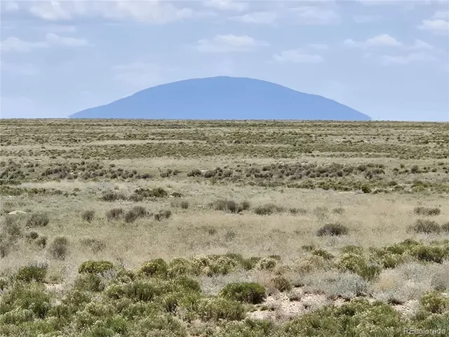 a view of a dry yard