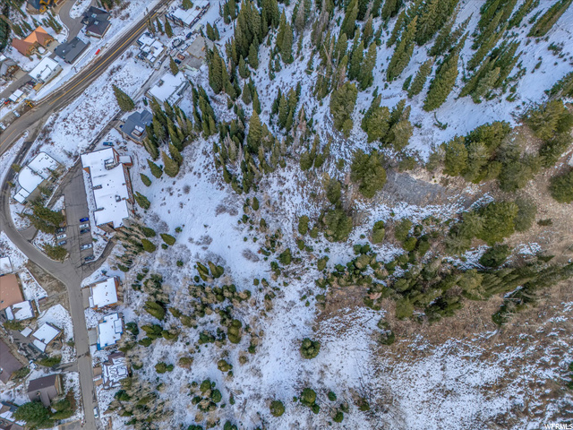 9840 Martha Road Alta, UT 84092 - Photo 4 of 5