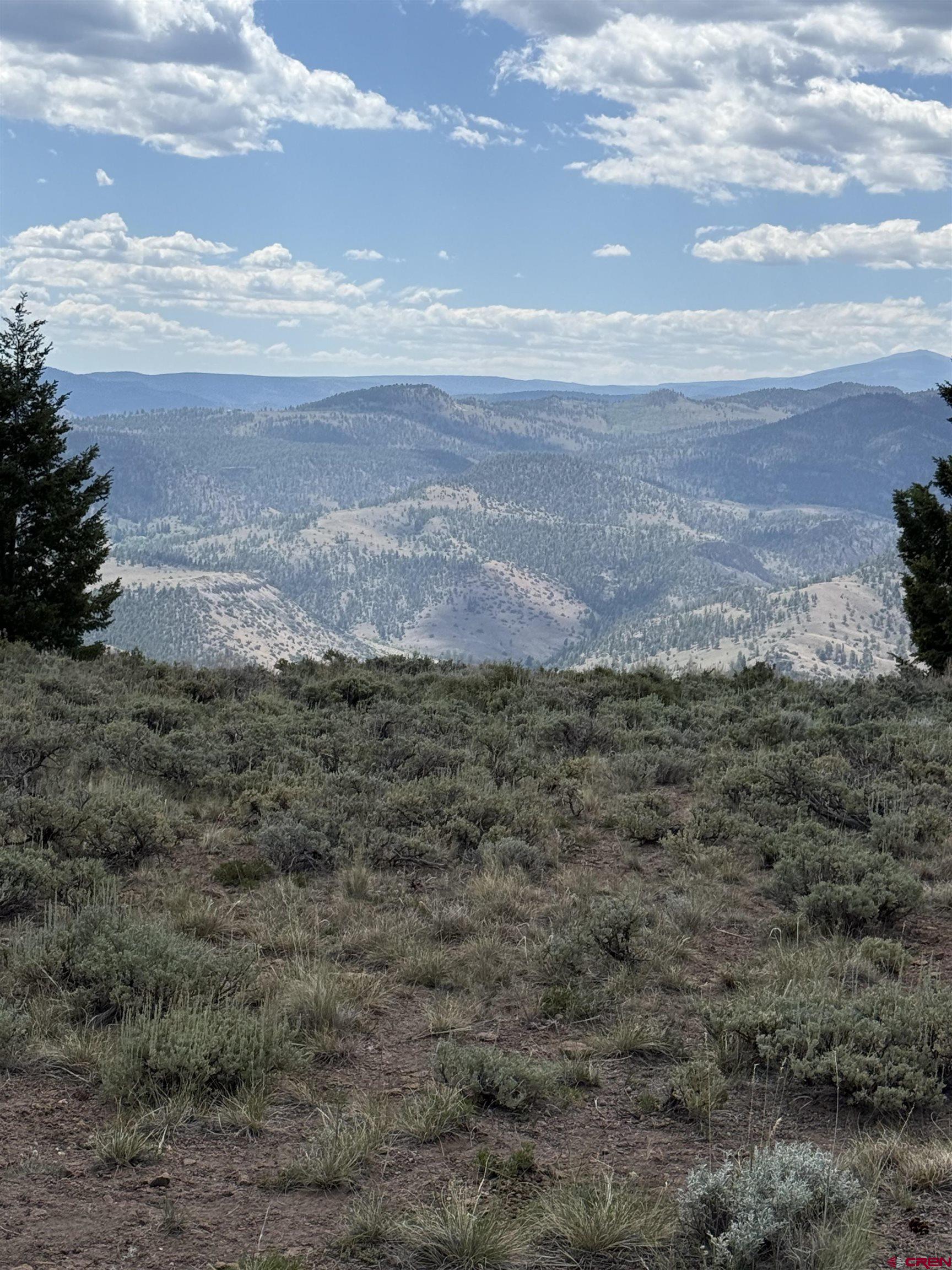 151 Trailridge Trail Powderhorn, CO 81243 - Photo 1 of 11