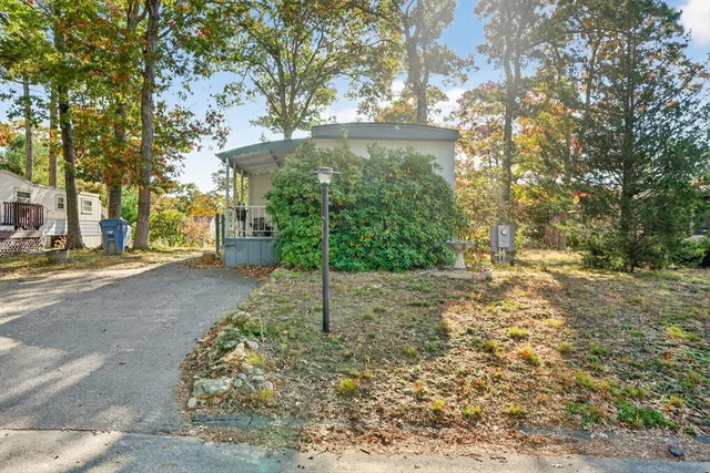 a view of a yard with plants and trees