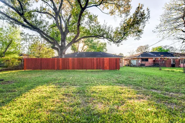 a view of a yard with an tree and wooden fence