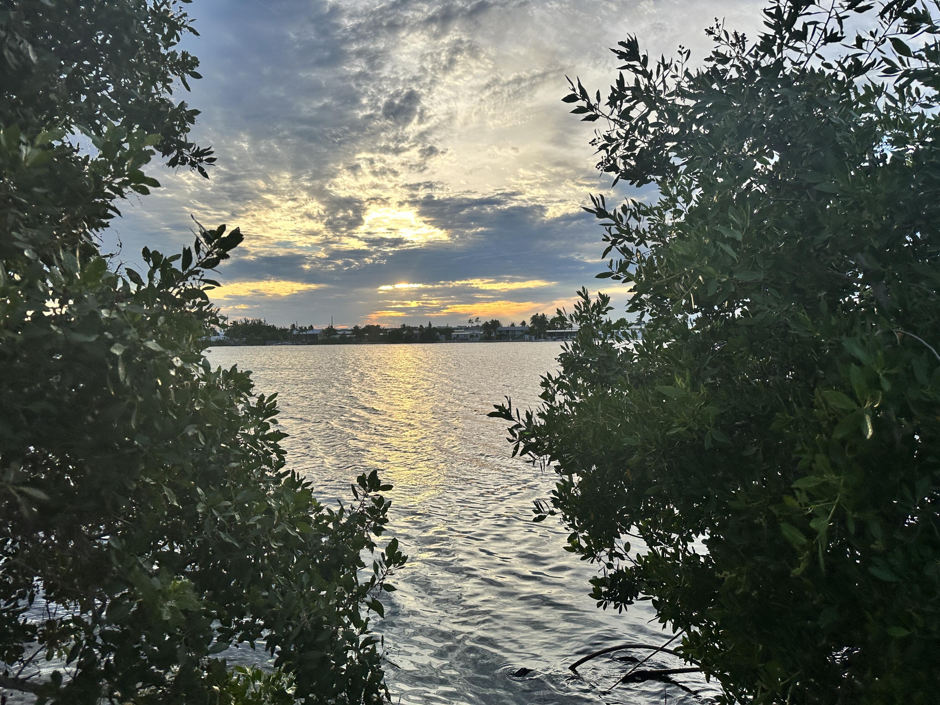 20 Shore Terrace Key West, FL 33040 - Photo 6 of 15 a view of a lake from a yard