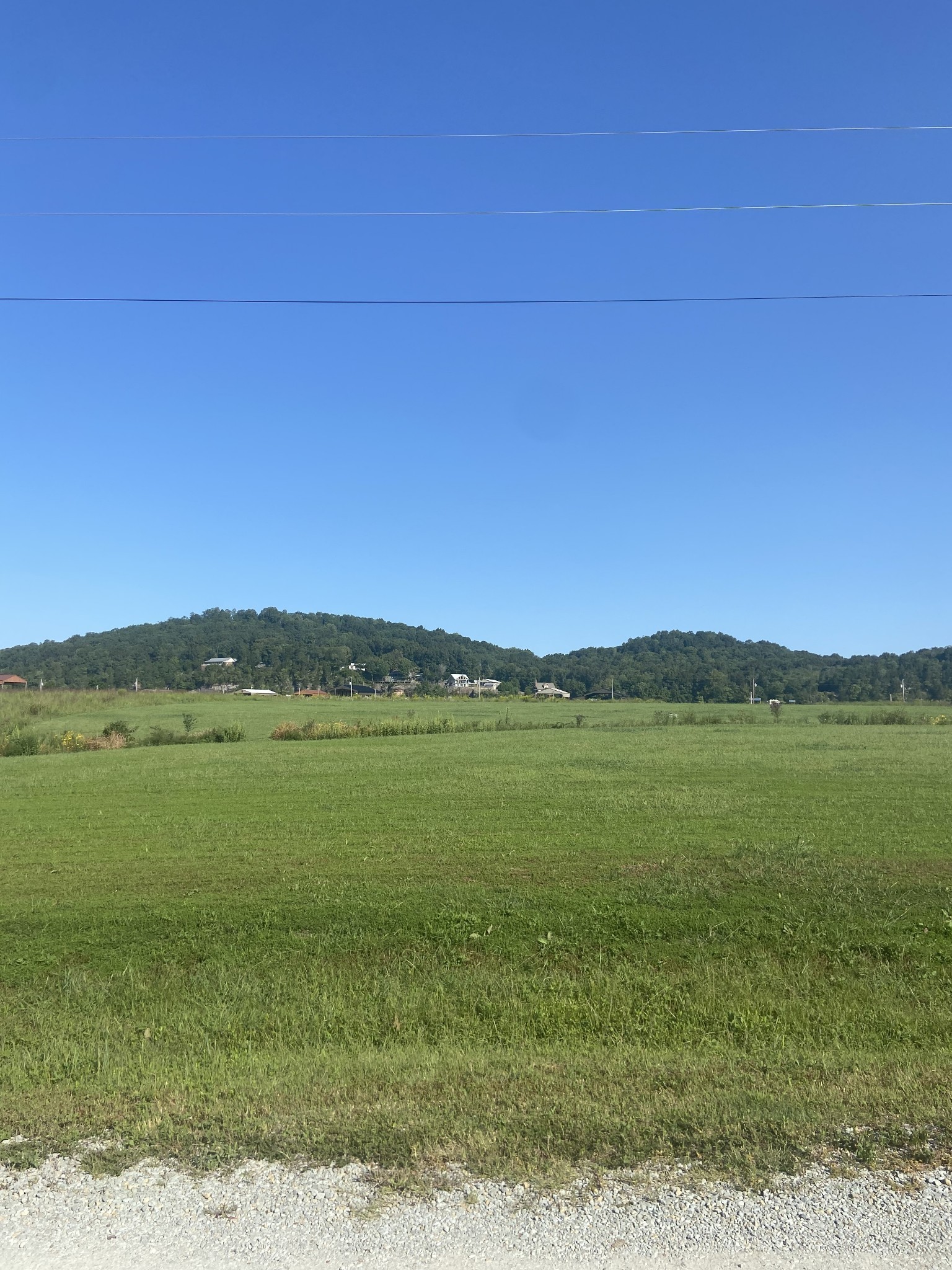 390 Duck Blind Road Clifton, TN 38425 - Photo 6 of 14