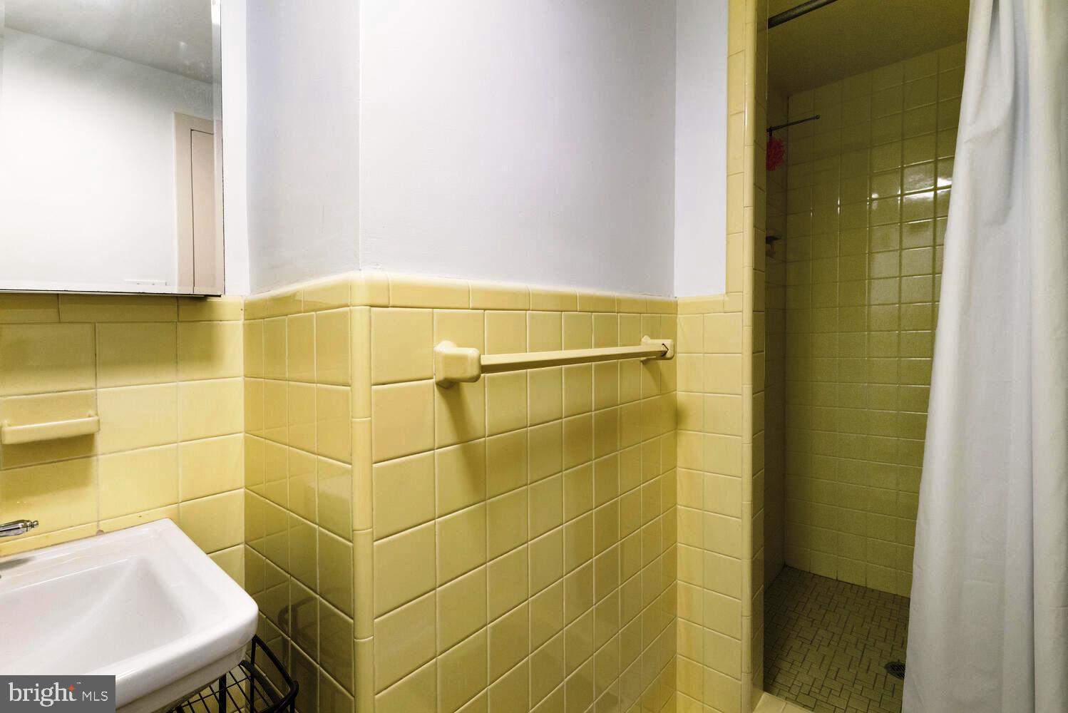 7900 Old York Road, Unit 907A Elkins Park, PA 19027 - Photo 20 of 36 a bathroom with a sink shower and a mirror