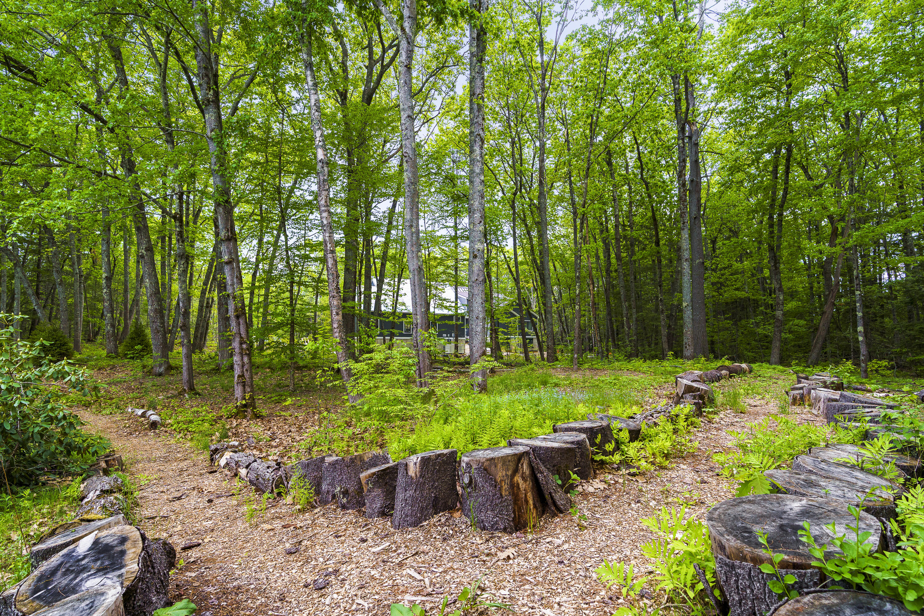9 Conifer Ridge Cumberland, ME 04110 - Photo 49 of 49 31-9 Connifer Ridge, Cumberland, ME-TP
