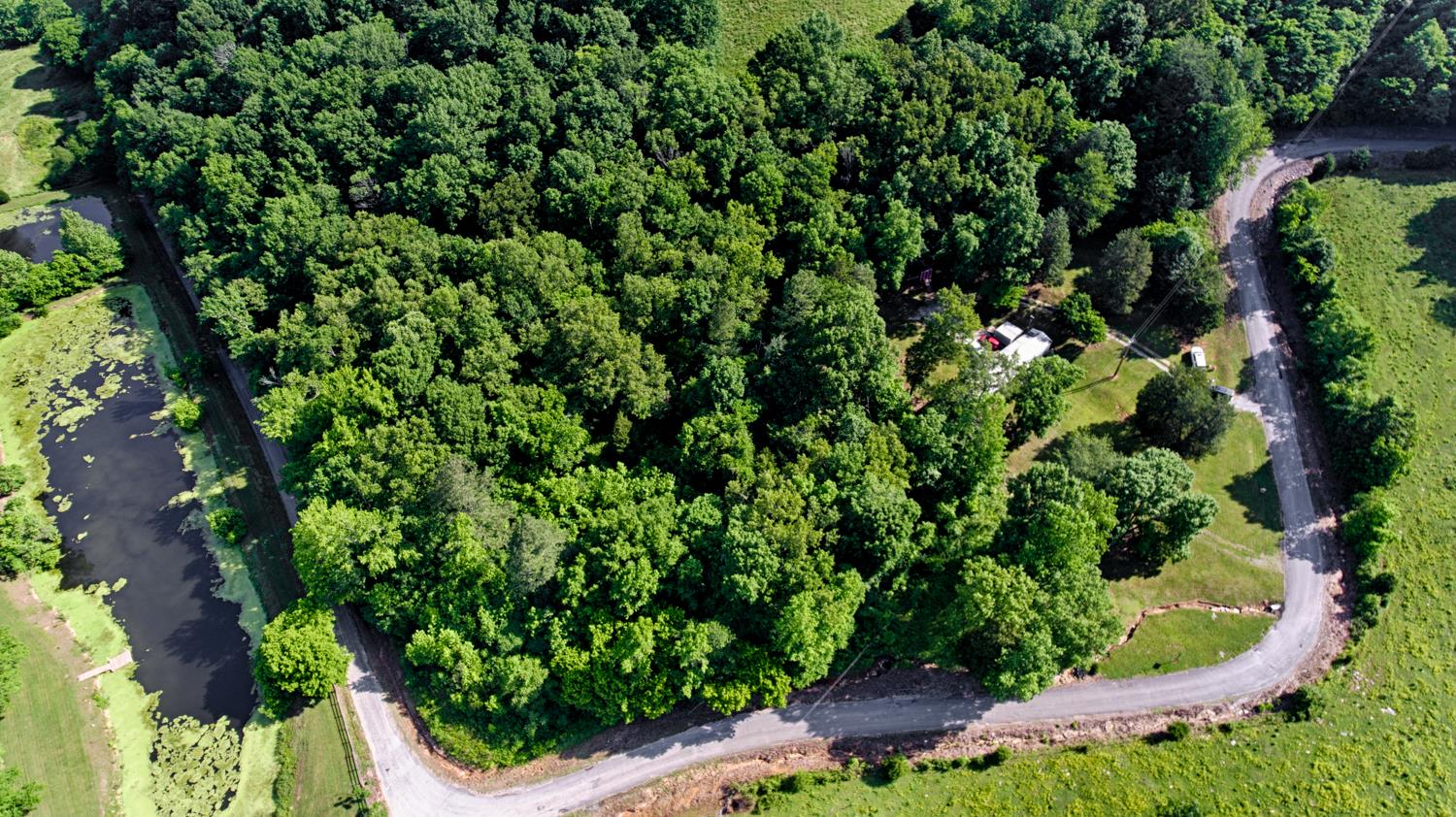 29706 Bates Hollow Road Ardmore, AL 35739 - Photo 4 of 24 Wooded Acreage