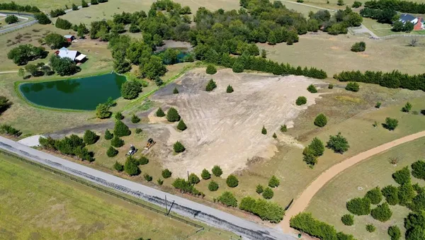 a view of a backyard with plants